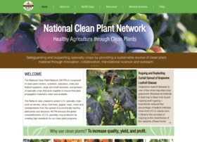 nationalcleanplantnetwork.org