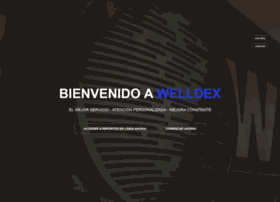 welldex-nte.com.mx